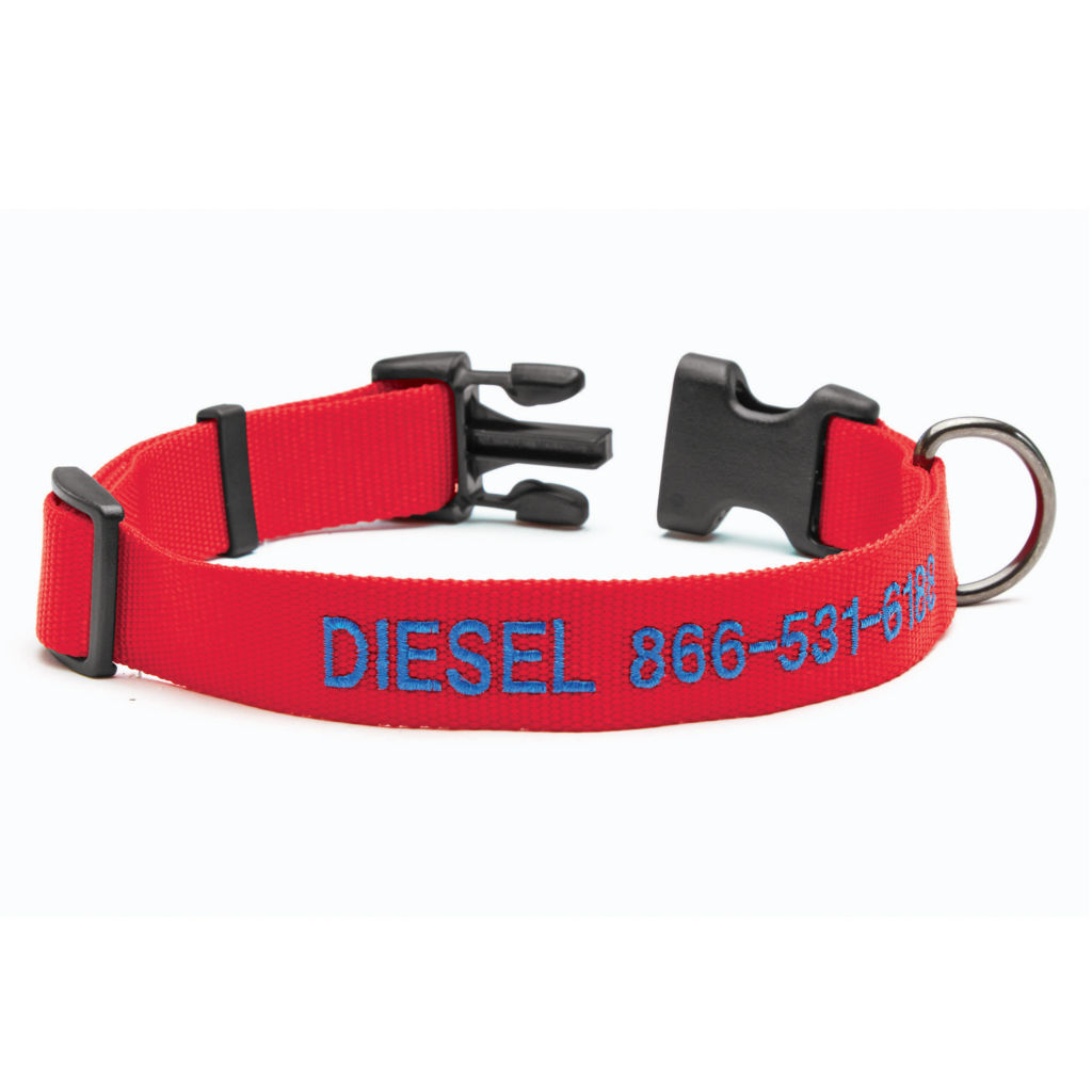  Personalized Side-Release Buckle Collar