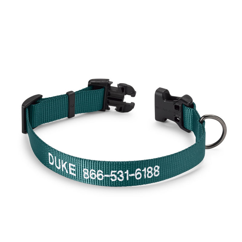 Personalized Side-Release Buckle Dog Collar Harbor Blue 