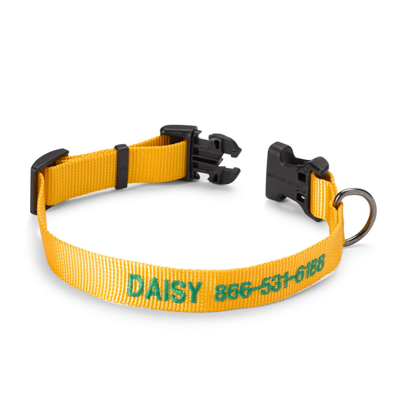 Personalized Side-Release Buckle Dog Collar Goldenrod 