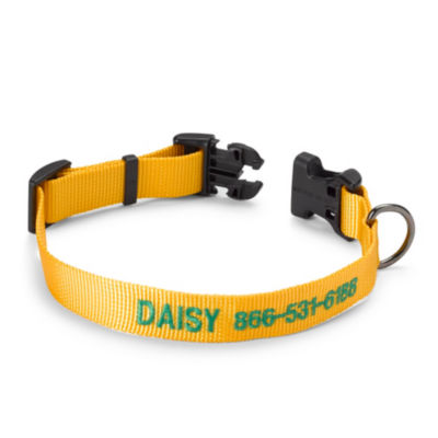 Personalized Side Release Buckle Dog Collar Goldenrod 