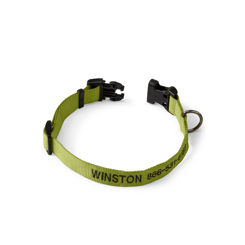 Personalized Side-Release Buckle Dog Collar Citron 