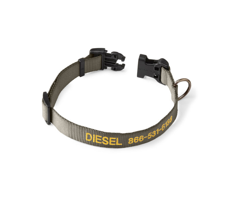 Personalized Side-Release Buckle Dog Collar Dusty Olive 