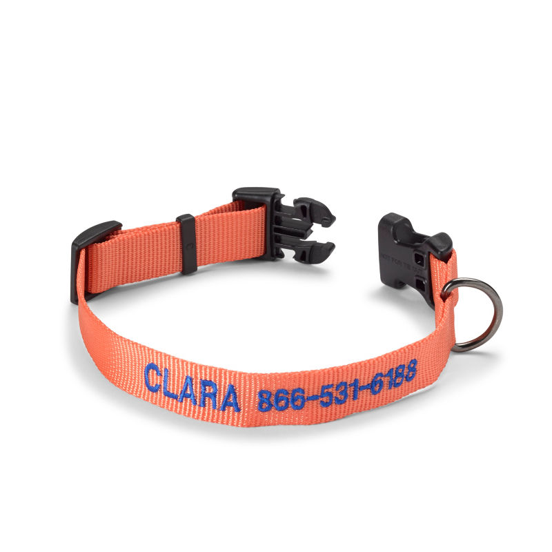 Personalized Side-Release Buckle Dog Collar Salmon 