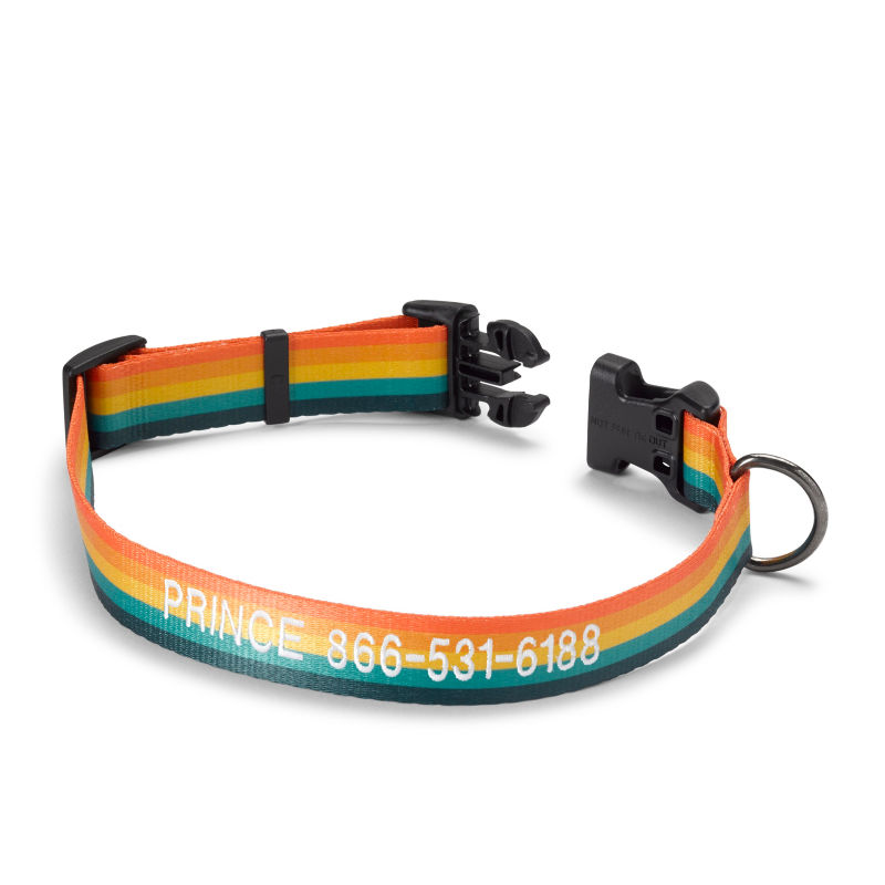 Personalized Side-Release Buckle Dog Collar Stripe 
