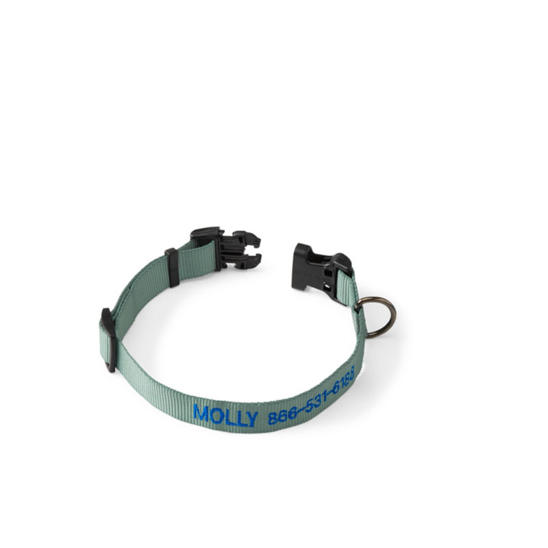 Personalized Side-Release Buckle Dog Collar Wasabi 