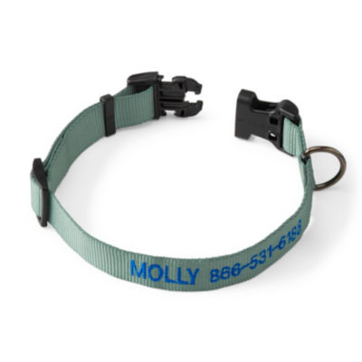 Personalized Side Release Buckle Dog Collar Wasabi 