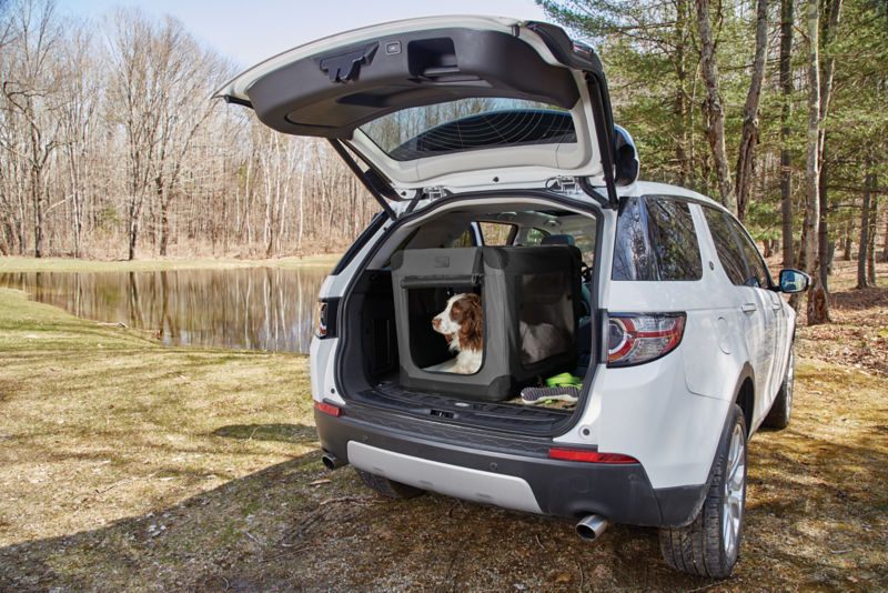 A liver-and-white dog lays in a travel crate in the back of a car.