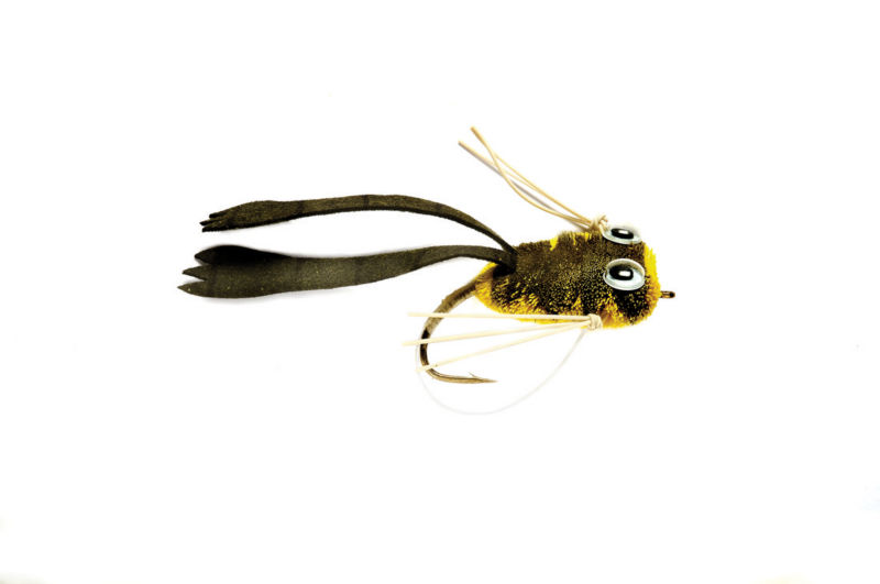 Dry Rind Frog Popper - 