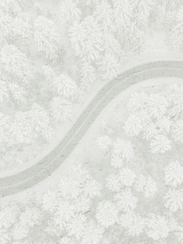 A landscape of a snowy pine forest with a road winding through it overlaid with white.