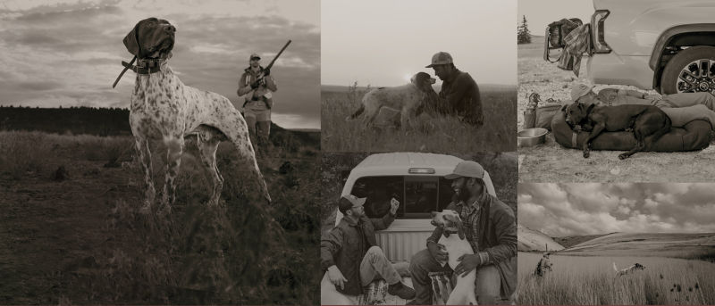 A collage of 5 black and white photos featuring hunters and dogs in the field.