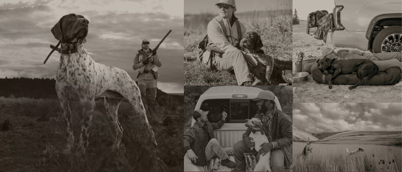 A collage of 5 black and white photos featuring hunters and dogs in the field.