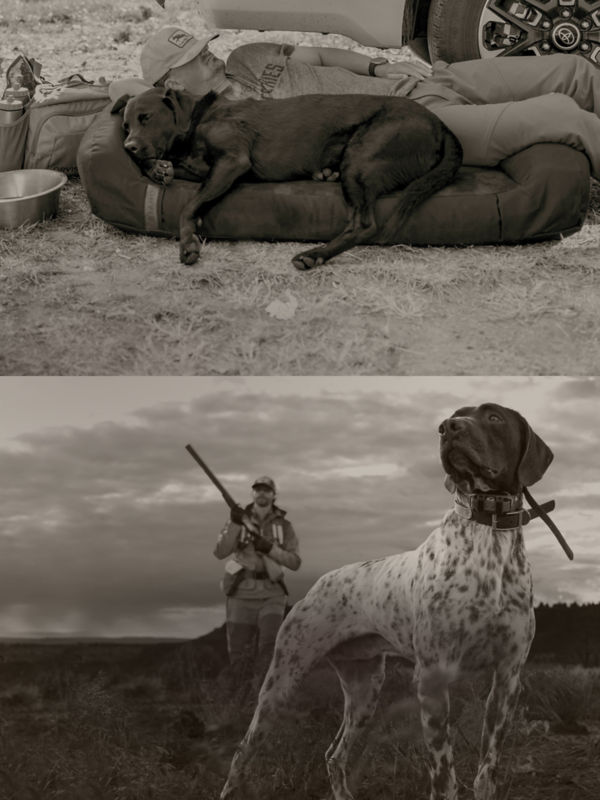 A collage of 2 black and white photos featuring hunters and dogs in the field.