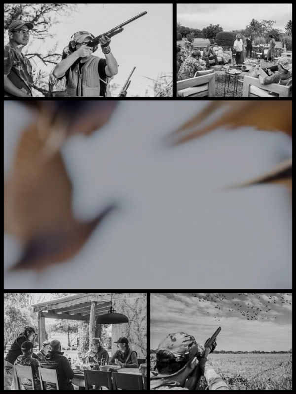 A black and white collage of hunting photos with a color image of doves in mid-air.