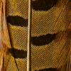 Pheasant Tail - YELLOW