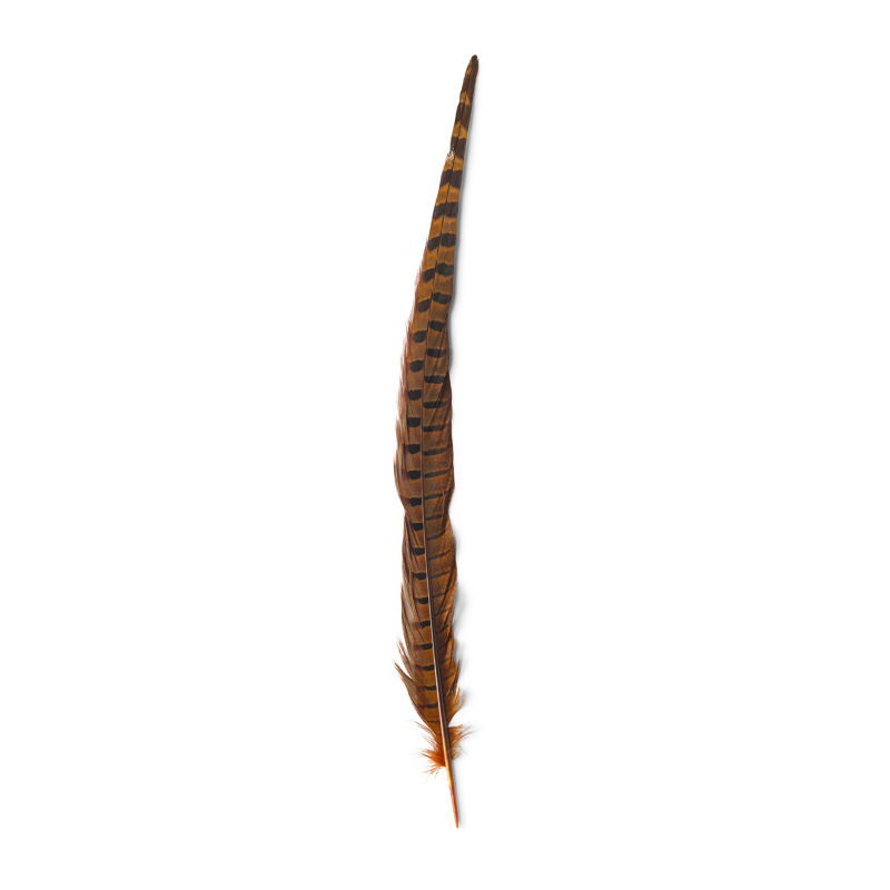 Pheasant Tail - GINGER
