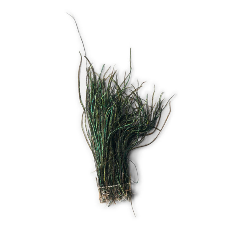 Peacock -  image number 0