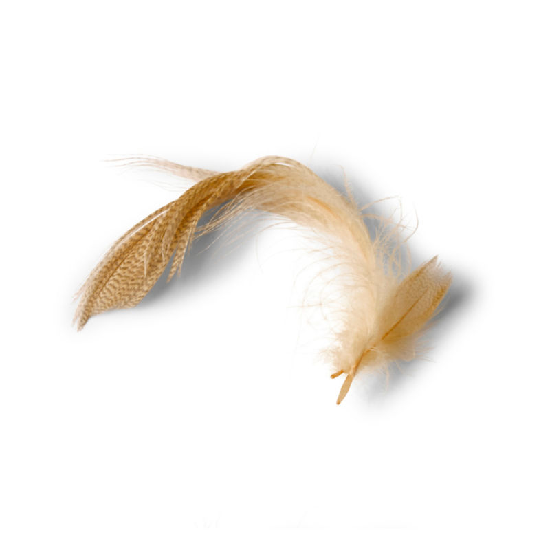 Mallard Duck Side Feathers - 