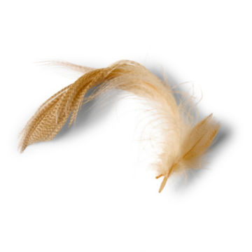 Mallard Duck Side Feathers -  image number 0