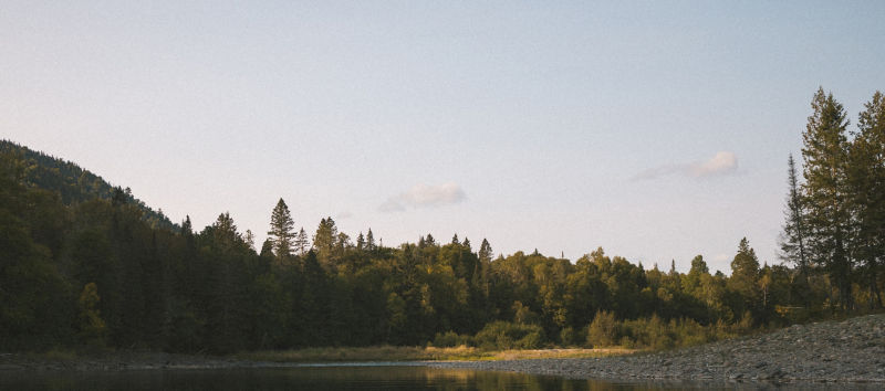 A scenic view of a river with a forest in the background.