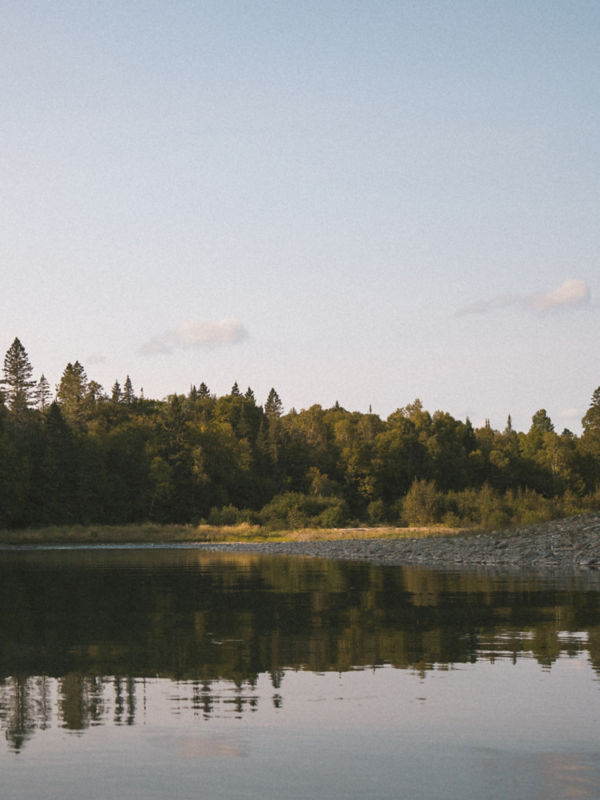 A scenic view of a river with a forest in the background.