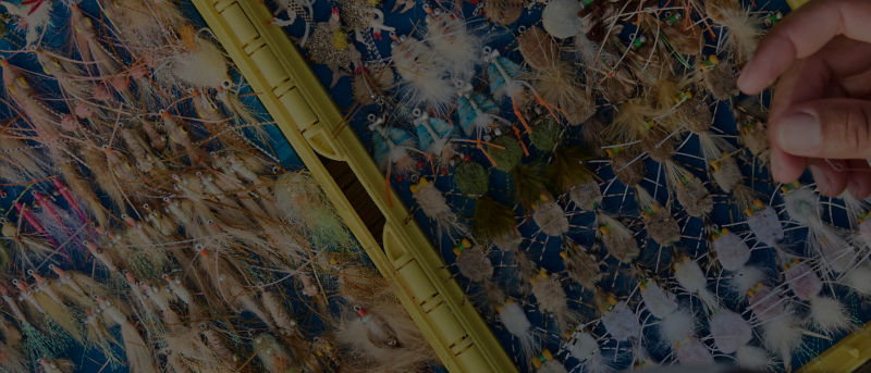 A peek inside the very full fly box of an angler choosing a fly.