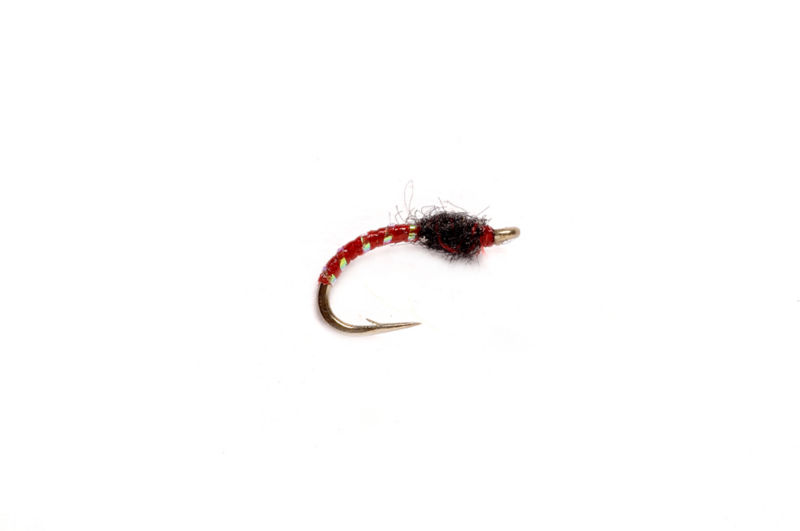 Disco Midge Larva - 