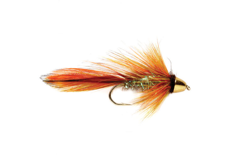Orange Blossom Special Fly - 