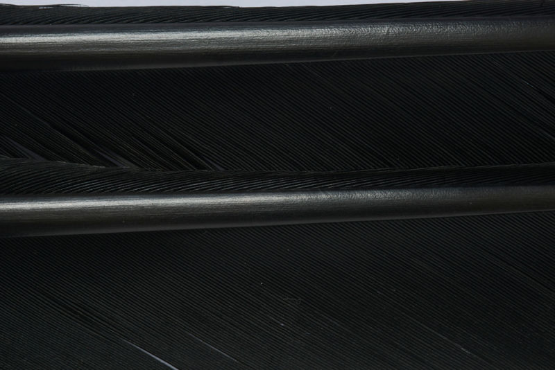 Turkey Biots - BLACK image number 1