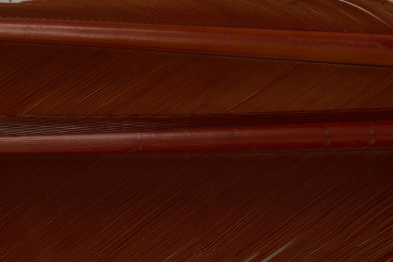 Turkey Biots - RUSTY BROWN image number 1