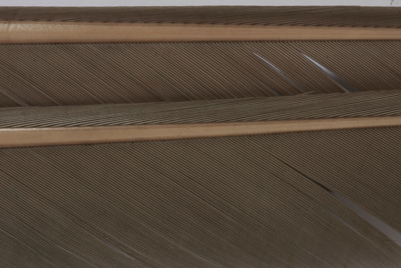 Turkey Biots - PALE WING OLIVE image number 1