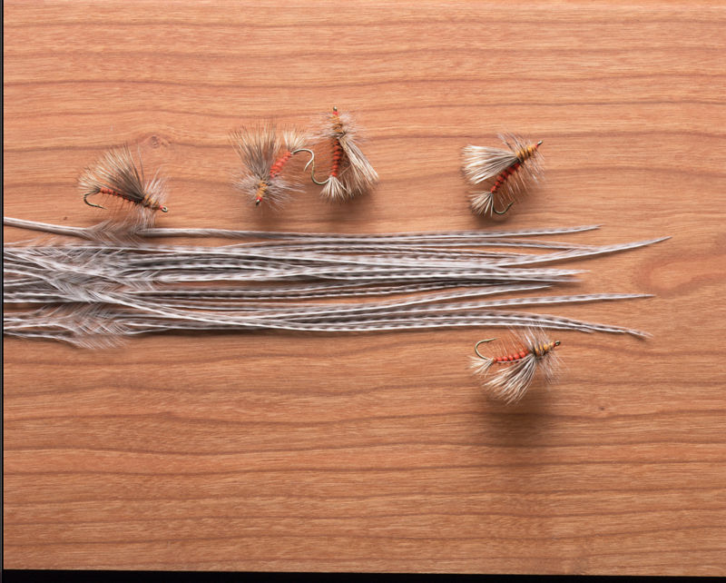 Whitings 100's light ginger size 14 saddle feathers fly tying materials 