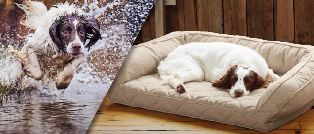 A split image of dog running through water then resting on a dog bed