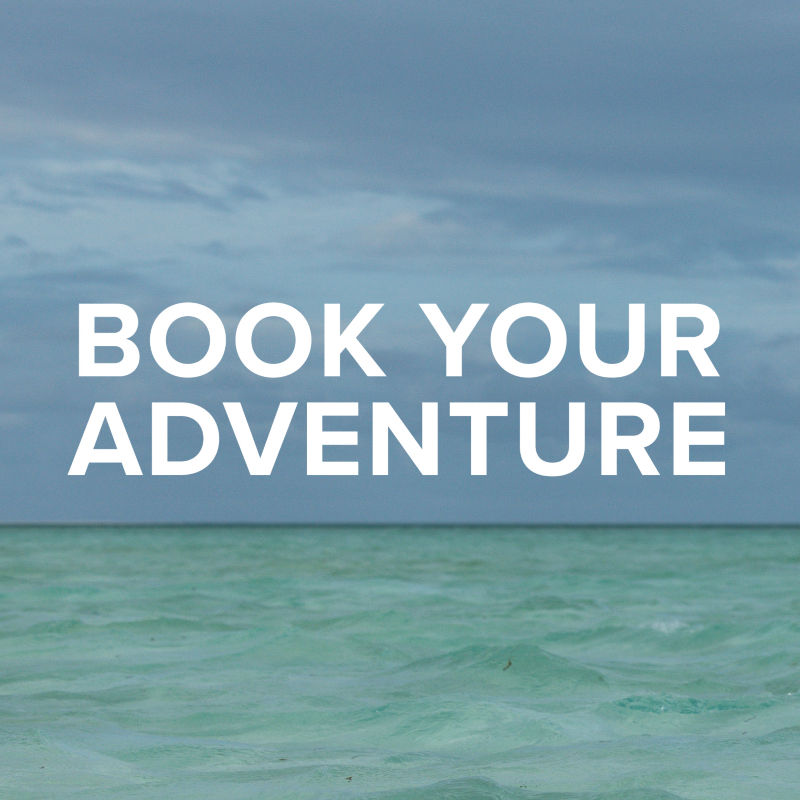 Text: "Book Your Perspective" laid over a stormy ocean image.