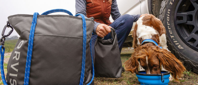 A view from the ground of someone kneeling down in the grass to feed their spaniel with a travel bowl.