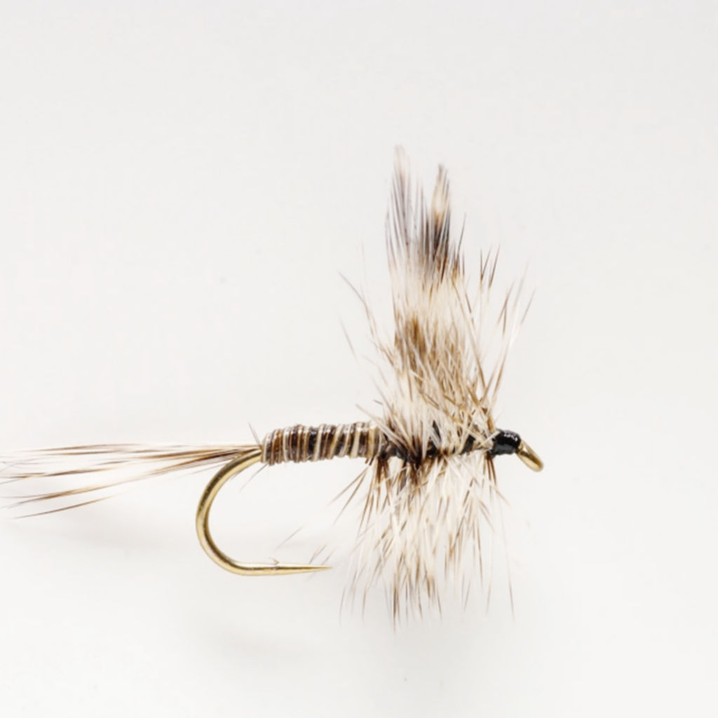 Mosquito Dry Fly -  image number 0