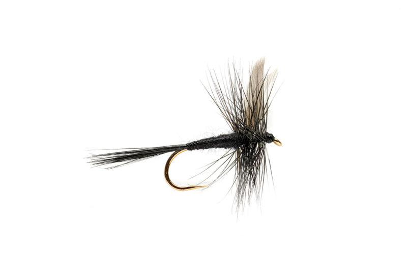 Black Gnat Trout Dry Fly