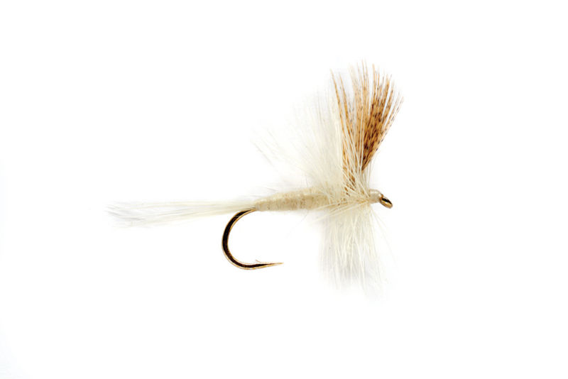 Light Cahill Dry Fly - 2 Pack