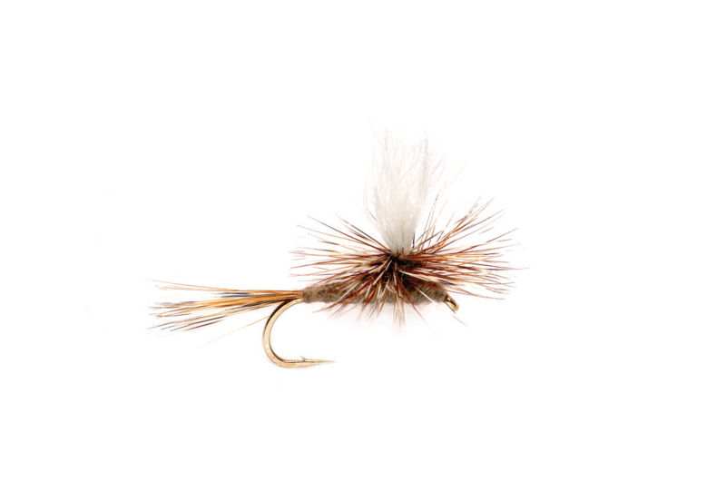 Adams Parachute Dry Fly - 
