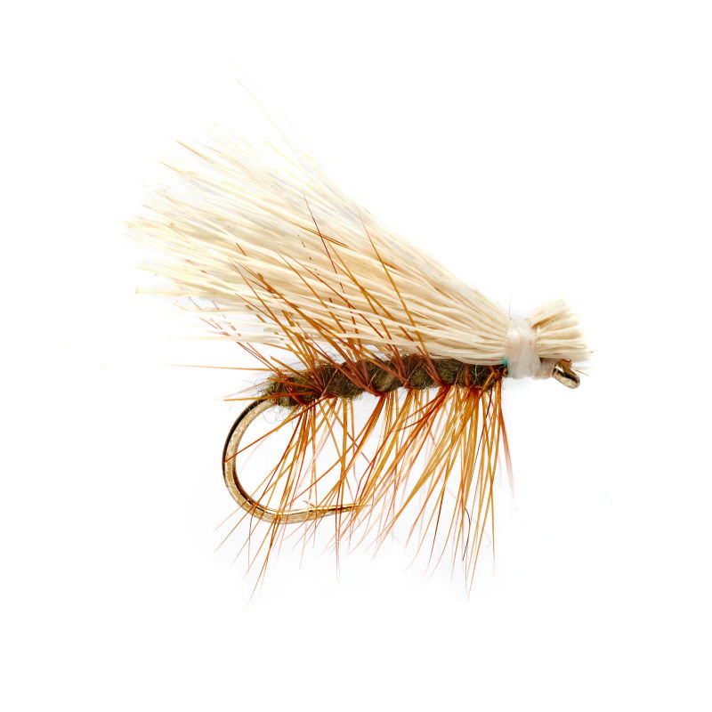 An image of an Elk Wing Hair Caddis fly on a white background.