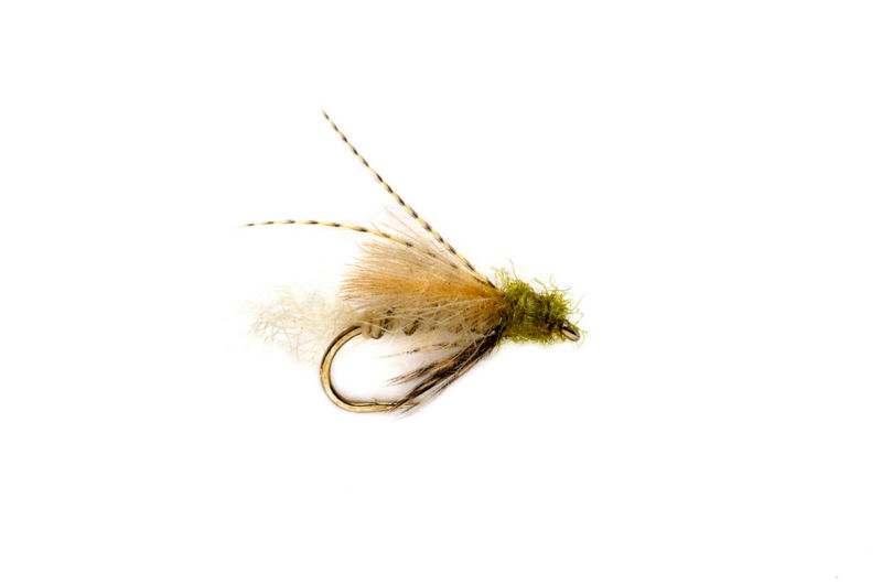 CDC Emerging Caddis - CREAM