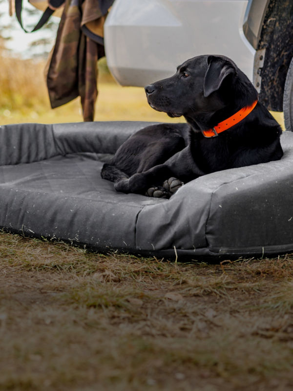 A black Labrador Retriever lying down on a grey dog bed next to a pickup truck..