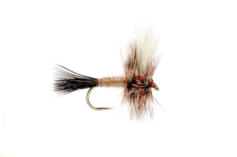 Ausable Wulff Fishing Fly Lure | Size 12 | Orvis