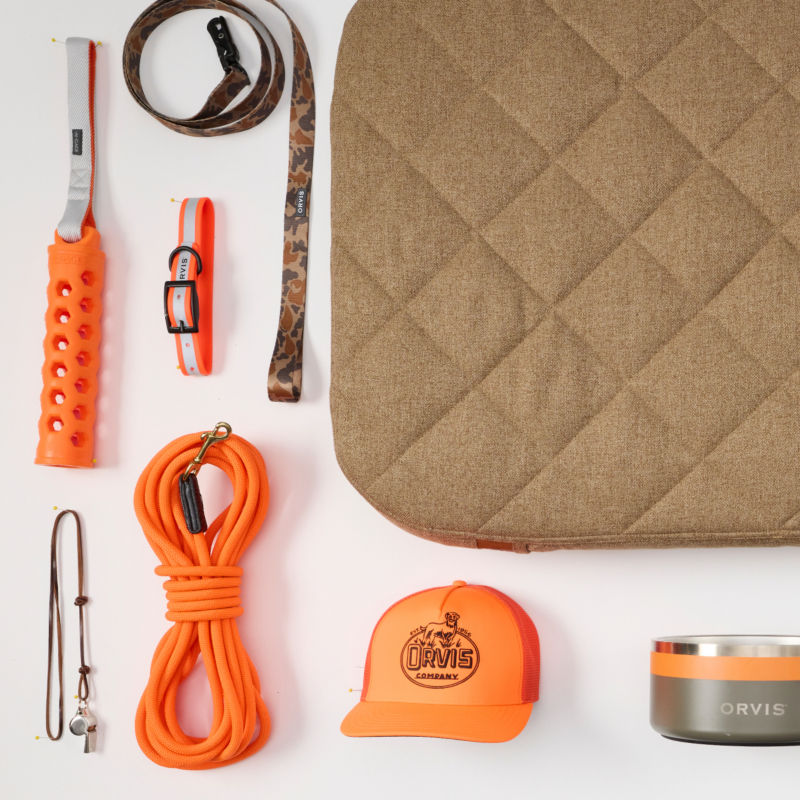 A collection of dog gear laid out on a white background including a dog bed, toys, and training items.