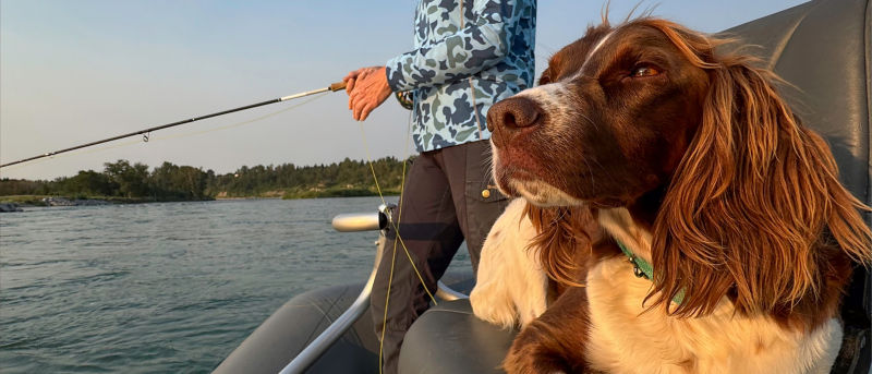 A dog lies on a boat chair while an angler fishes behind them.
