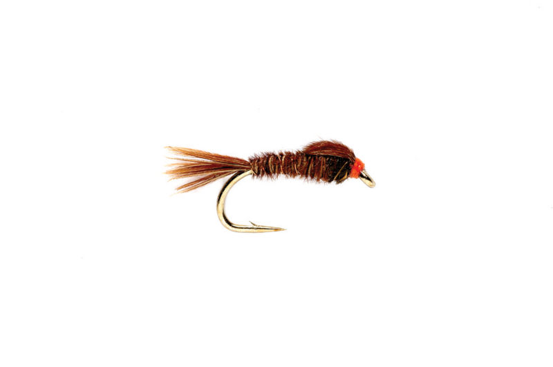 English Pheasant Tail - PHEASANT image number 0