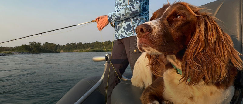 An angler fly fishes from the back of a boat while her dog lays on a boat chair.