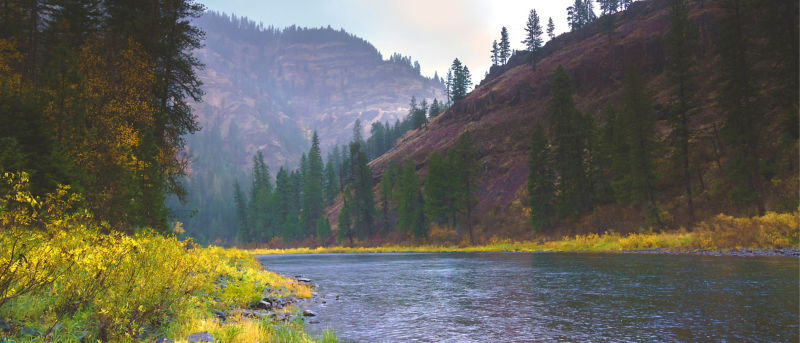 A scenic view of a river in the mountains.