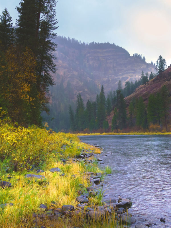 A scenic view of a river in the mountains.