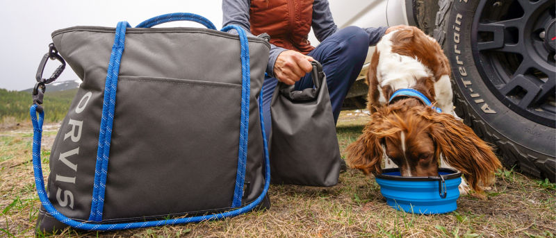 A person kneels down next to a spaniel eating out of a travel bowl outdoors.
