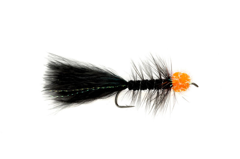 Meg A Egg Sucking Leech - ORANGE image number 0